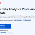 Google Data Analytics Professional Certificate
