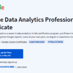Custo do Certificado Profissional de Análise de Dados do Google